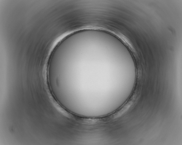 X0000113220854200909100921