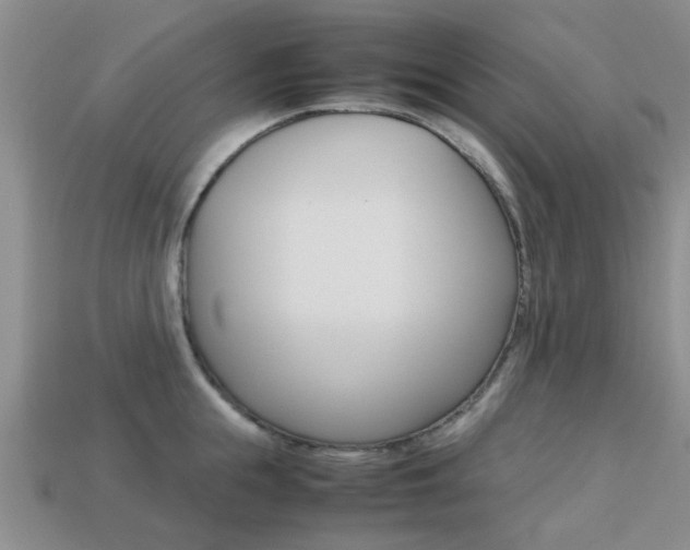 X0000113220855200909100921