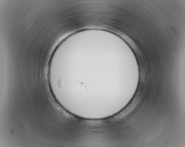 X0000113220856200909100921