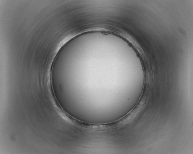 X0000113220858200909100921