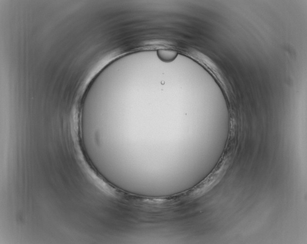 X0000113220859200909100921