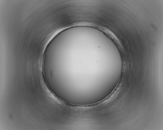 X0000113220860200909100921