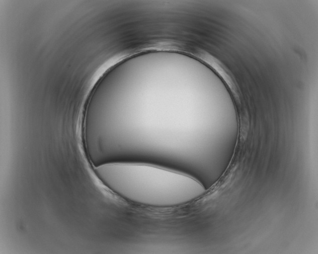 X0000113220861200909100921