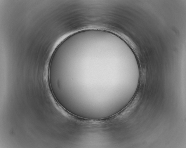 X0000113220862200909100921