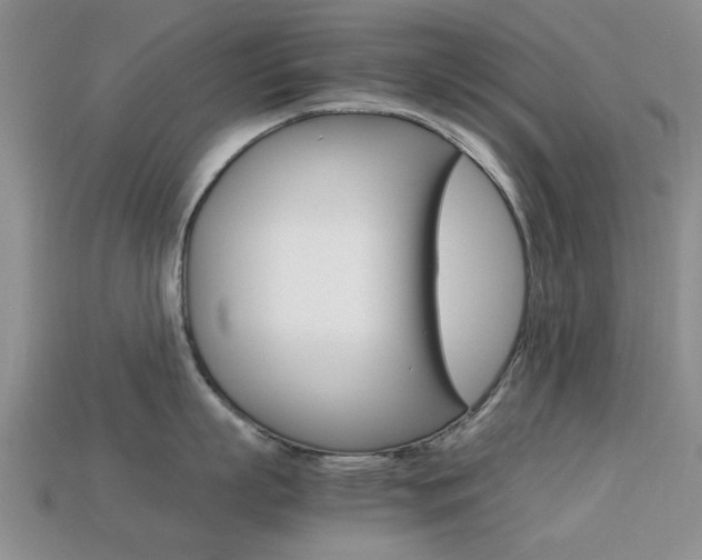X0000113220863200909100921