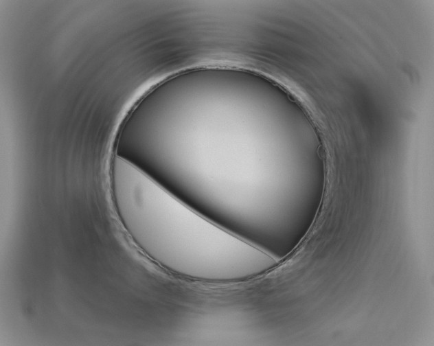 X0000113220864200909100921