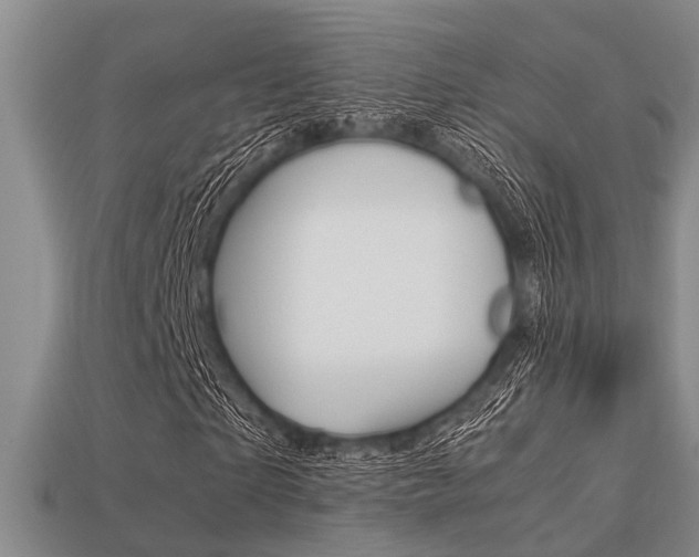 X0000113220865200909100920