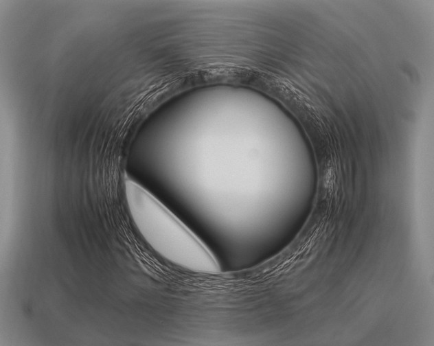 X0000113220868200909100920