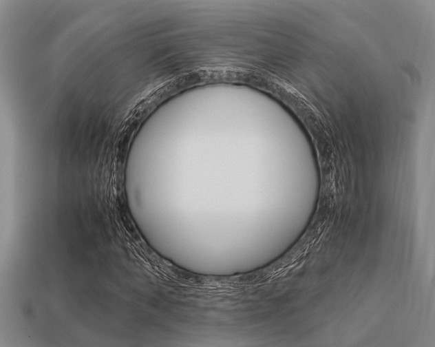 X0000113220870200909100920