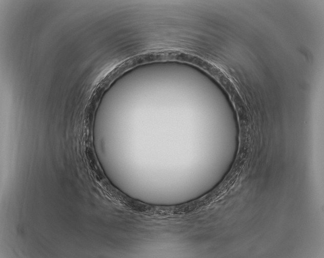 X0000113220871200909100920