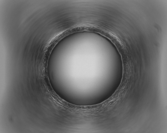 X0000113220872200909100920
