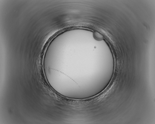 X0000113220875200909100920