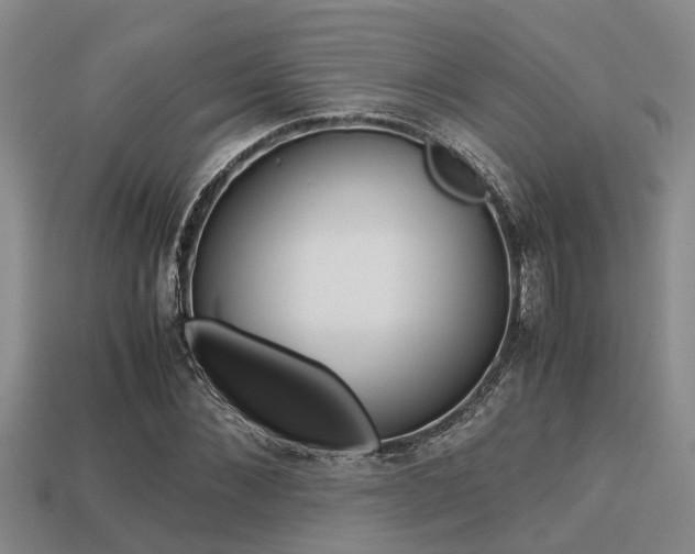 X0000113220876200909100920