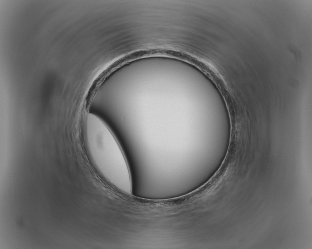X0000113220879200909100920