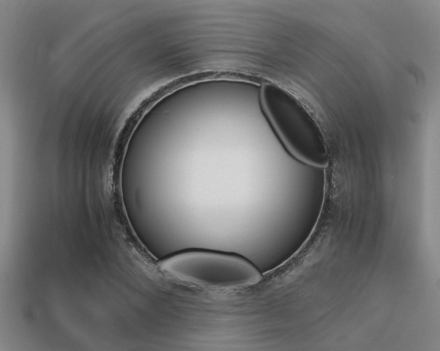 X0000113220880200909100920