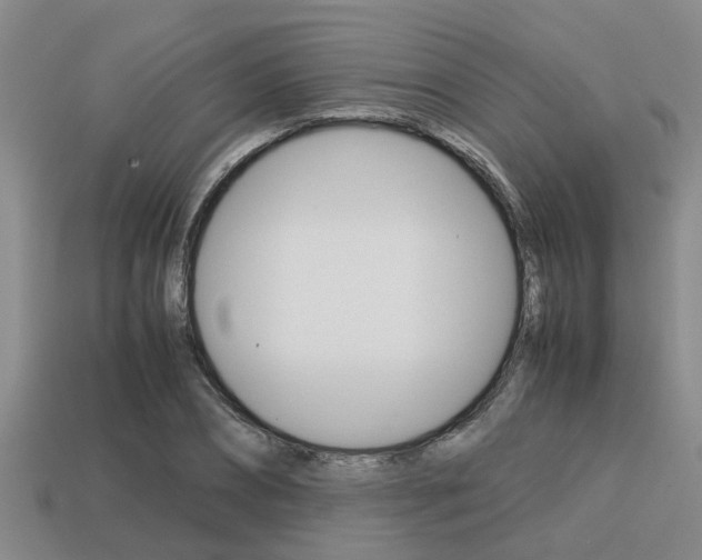 X0000113220882200909100920