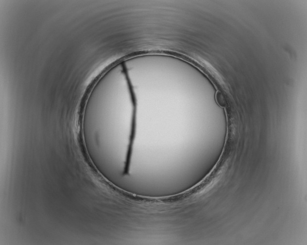 X0000113220885200909100920