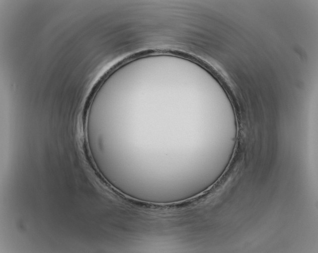 X0000113220887200909100920
