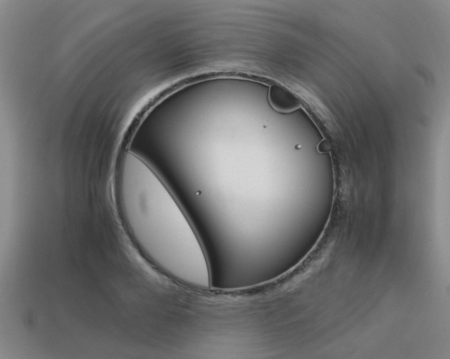 X0000113220888200909100920