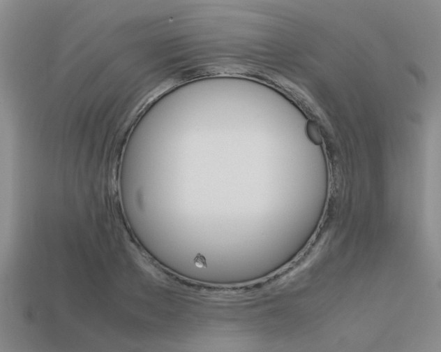 X0000113220889200909100920