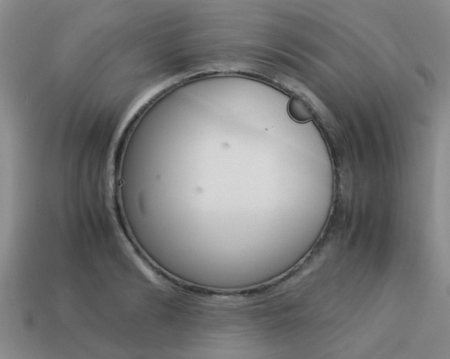 X0000113220894200909100920
