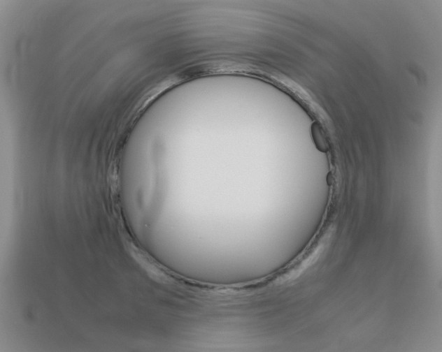 X0000113220897200909100920