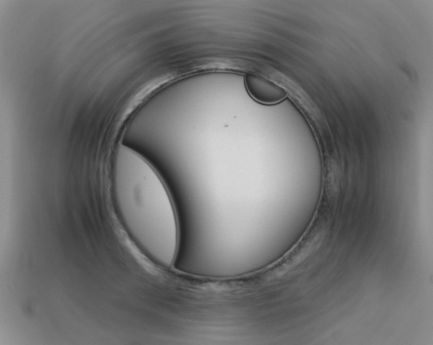 X0000113220898200909100920