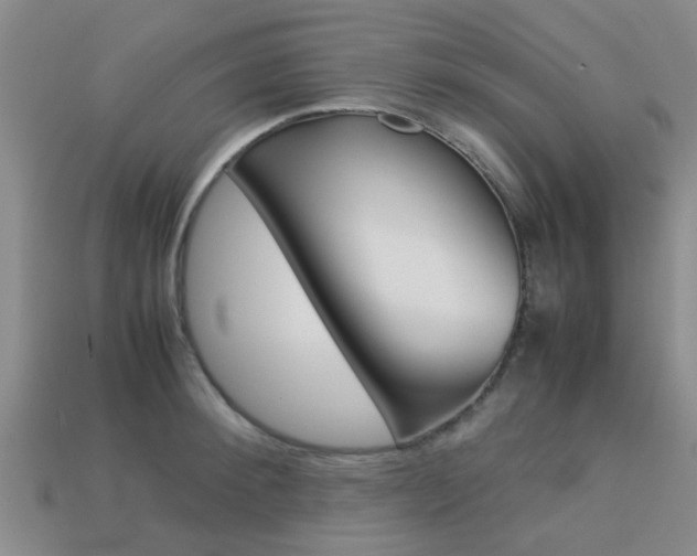 X0000113220900200909100920