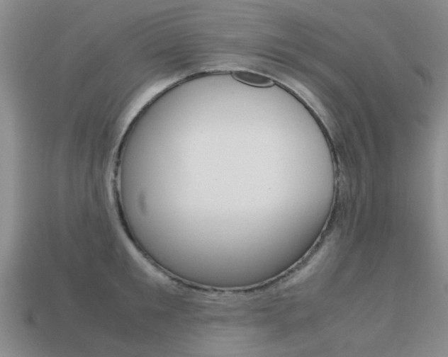 X0000113220901200909100920