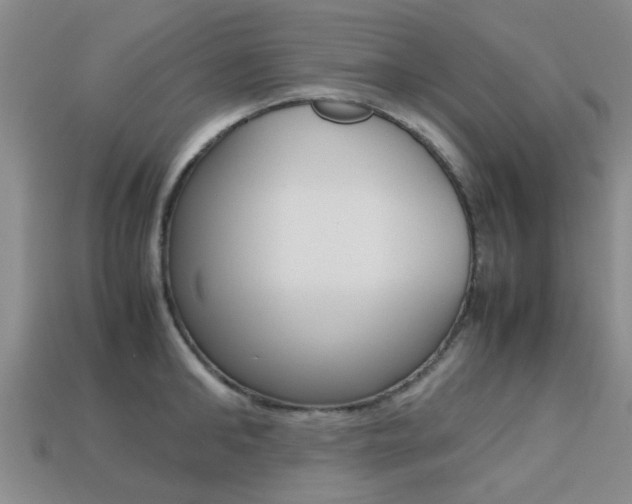 X0000113220902200909100920
