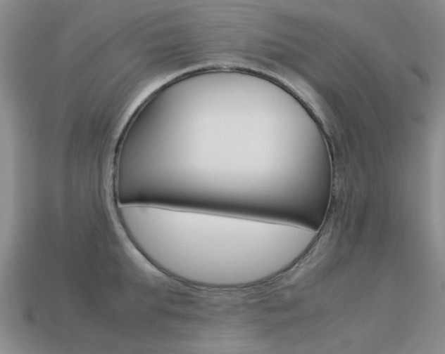 X0000113220903200909100920