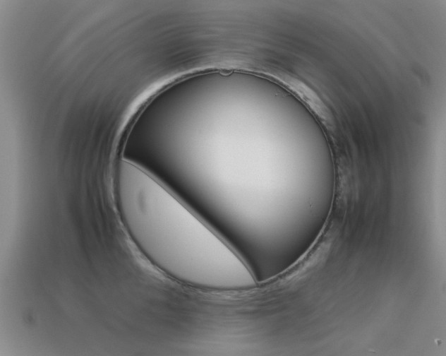 X0000113220904200909100920
