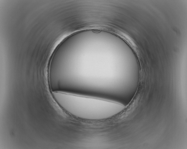 X0000113220907200909100920