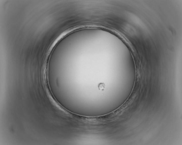 X0000113220911200909100920