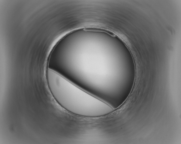 X0000113220912200909100920