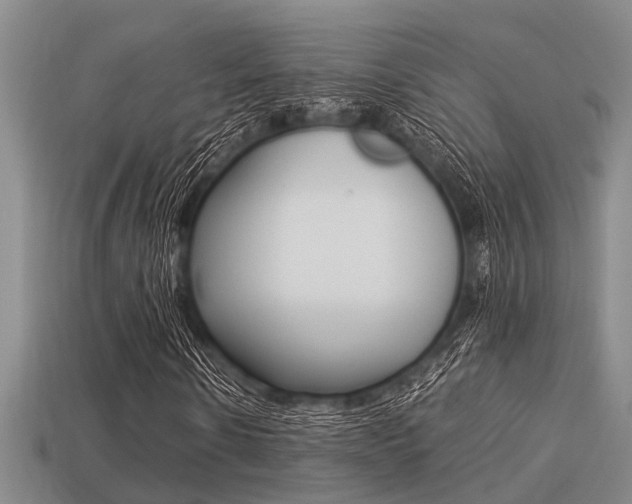 X0000113220914200909100919