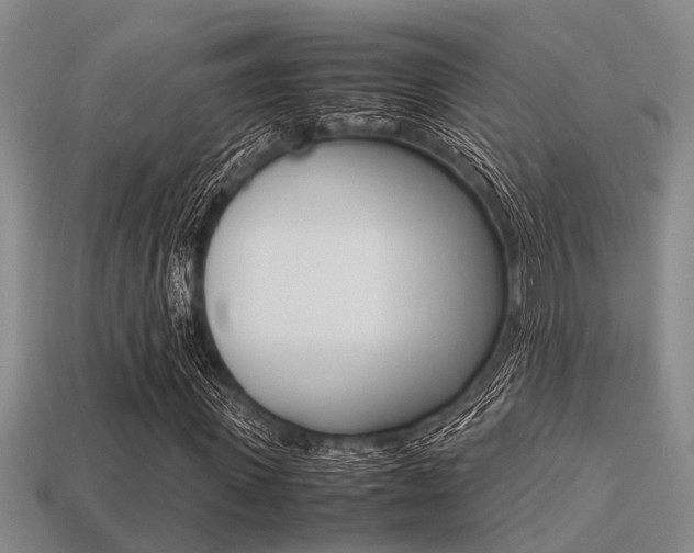 X0000113220915200909100919