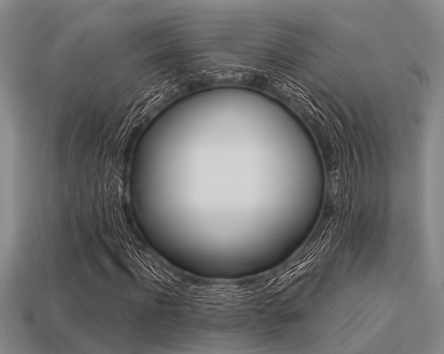 X0000113220916200909100919