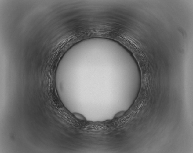 X0000113220917200909100919