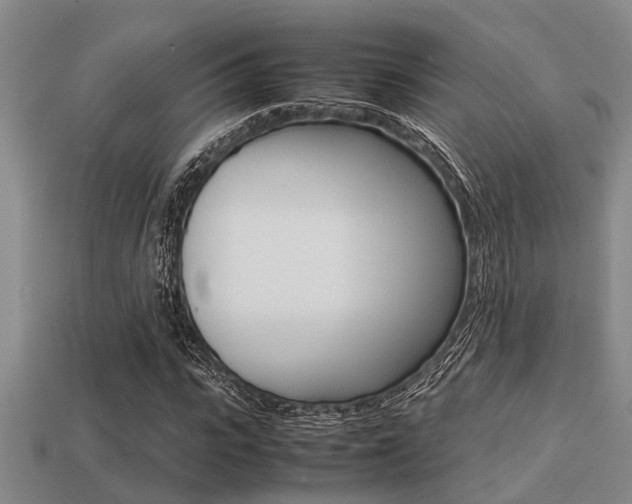 X0000113220919200909100919