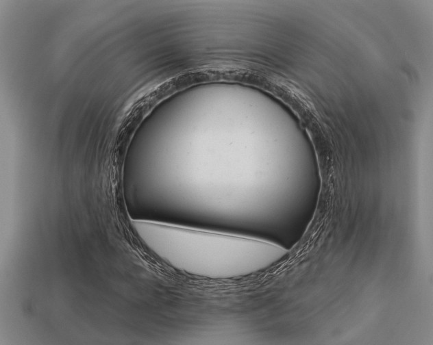 X0000113220920200909100919