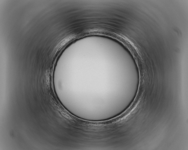 X0000113220921200909100919
