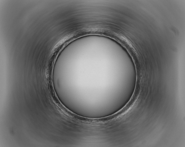 X0000113220922200909100919