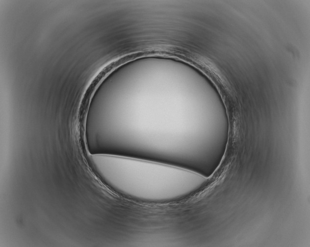 X0000113220924200909100919