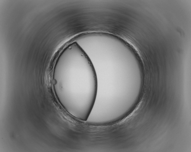 X0000113220925200909100919