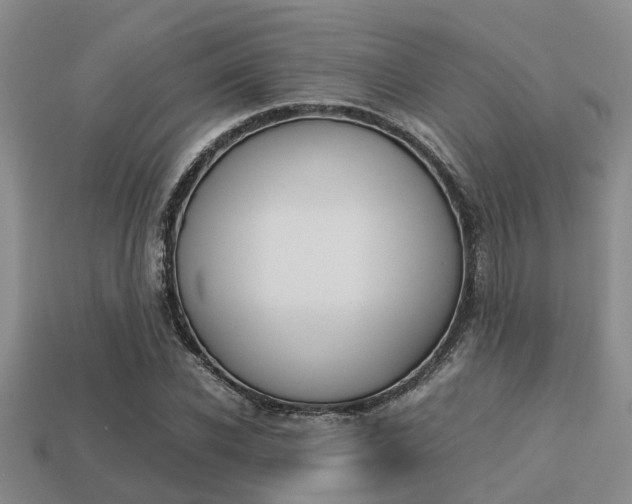 X0000113220926200909100919