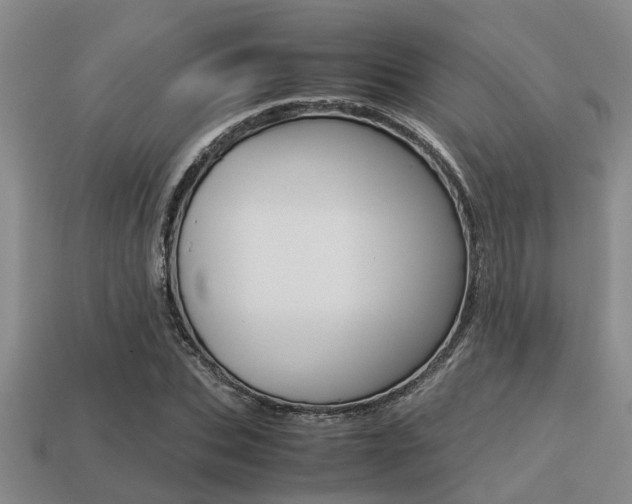 X0000113220927200909100919