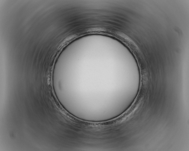X0000113220929200909100919