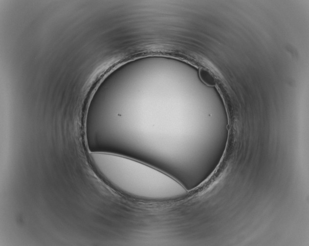 X0000113220930200909100919