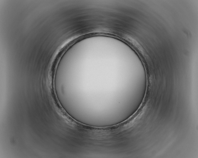 X0000113220931200909100919